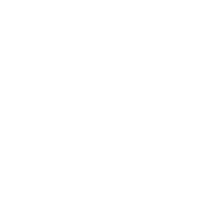 what-we-do what-we-do